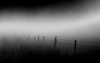Mist and Thoughts of Flight