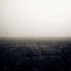 the road