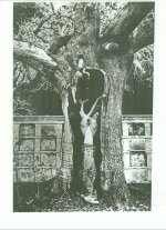 Scenes from Thomas Ligotti's file cabinet 018.jpg