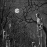 Nascent Ossuary