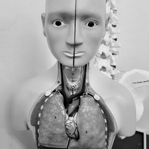 Media 'Nursing Mannekin 1' in album 'Nursing Mannekins'