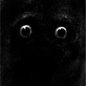 Eyes at Night.jpg